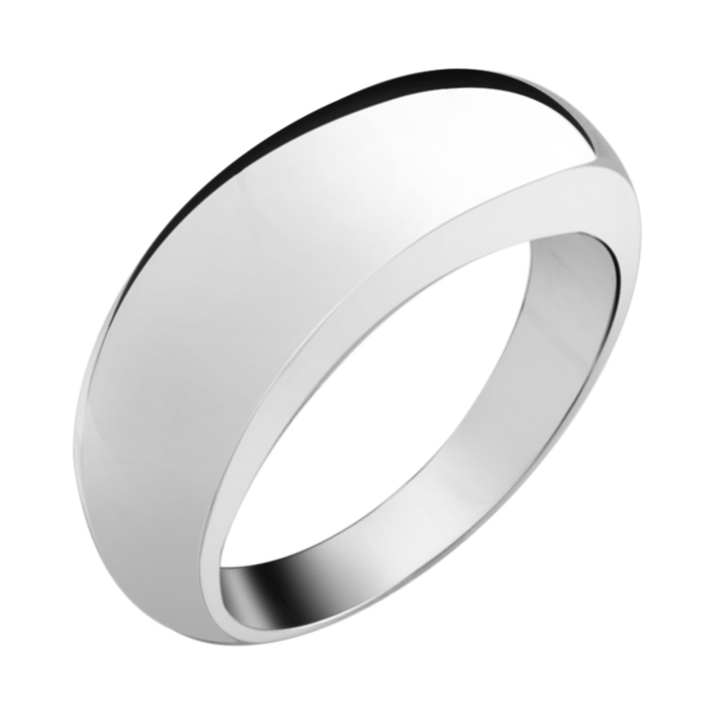 Ring Chirurgisch Staal 316L Ringen